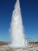 Geyser Iceland.jpg