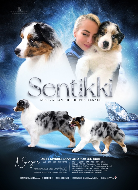 AD_sentikki_6page.jpg