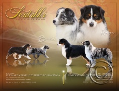 Ramses x Burda Litter Ad.jpg