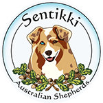 sentikki-logo.png