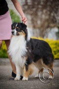 AXD_8704.jpg
