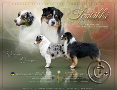 LITTER AD Quasar x Sango.jpg