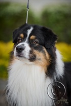 AXD_8668.jpg