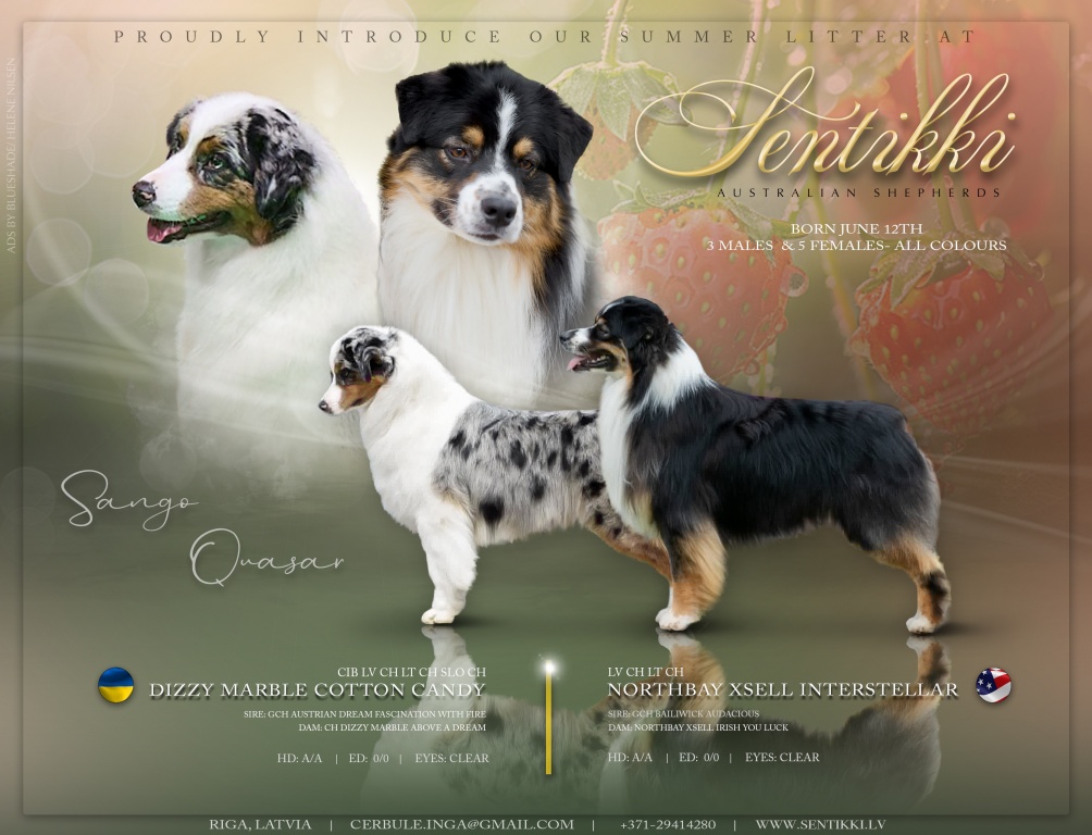 LITTER AD Quasar x Sango.jpg
