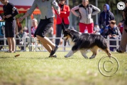 a626a495-2288-4c36-aa6c-5a8ce7bbf489.jpg