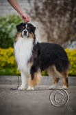 AXD_8640.jpg