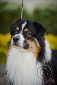 AXD_8668.jpg
