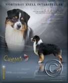 download Quasar Ad.jpg