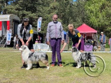 Burda BOS Palanga - May 2025.jpg