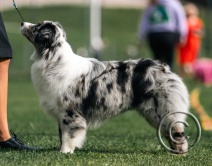 1691482093784 (1) - Copy.jpg