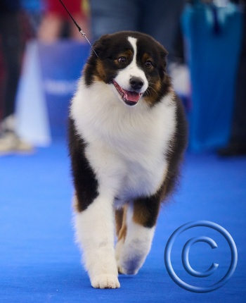 AXD_2958 - Copy.jpg