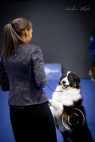 DOG_6011 (1).jpg