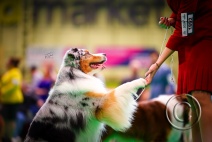 untitled-10238-Edit.jpg